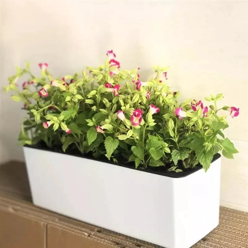 Automatic Plant Waterer - กระถางดอกไม้ทรงสี่เหลี่ยมผืนผ้า กระถางดอกไม้พลาสติกไฮโดรโปนิกส์ + ตัวบ่งชี้ระดับน้ำ กระถางดอกไม้ดูดซับน้ำอัตโนมัติ