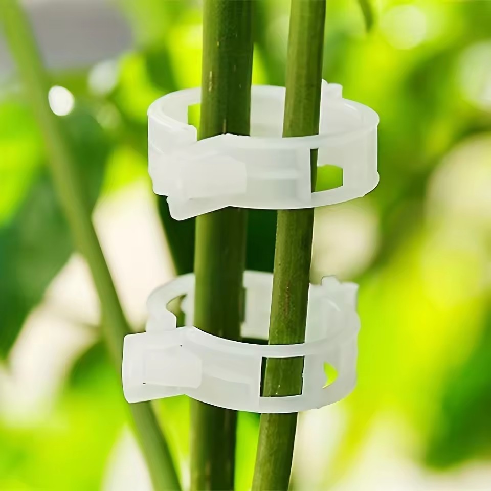 คลิปหนีบต้นไม้ 20 ชิ้น, ตัวยึด - Gardening Tools Vegetables บทวิจารณ์และราคา