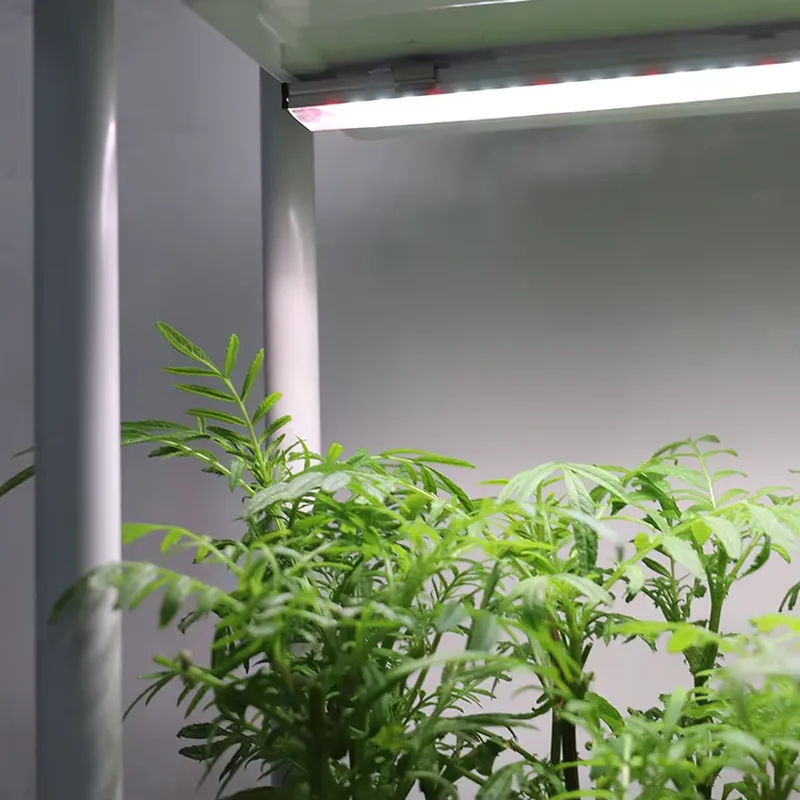 กล่องปลูกต้นไม้แบบเคลื่อนย้ายไ - Self-Watering Planter บทวิจารณ์และราคา