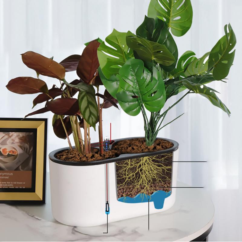 โรงงานในร่มที่มีตัวบ่งชี้ไม้ขา - Automatic Plant Waterer บทวิจารณ์และราคา