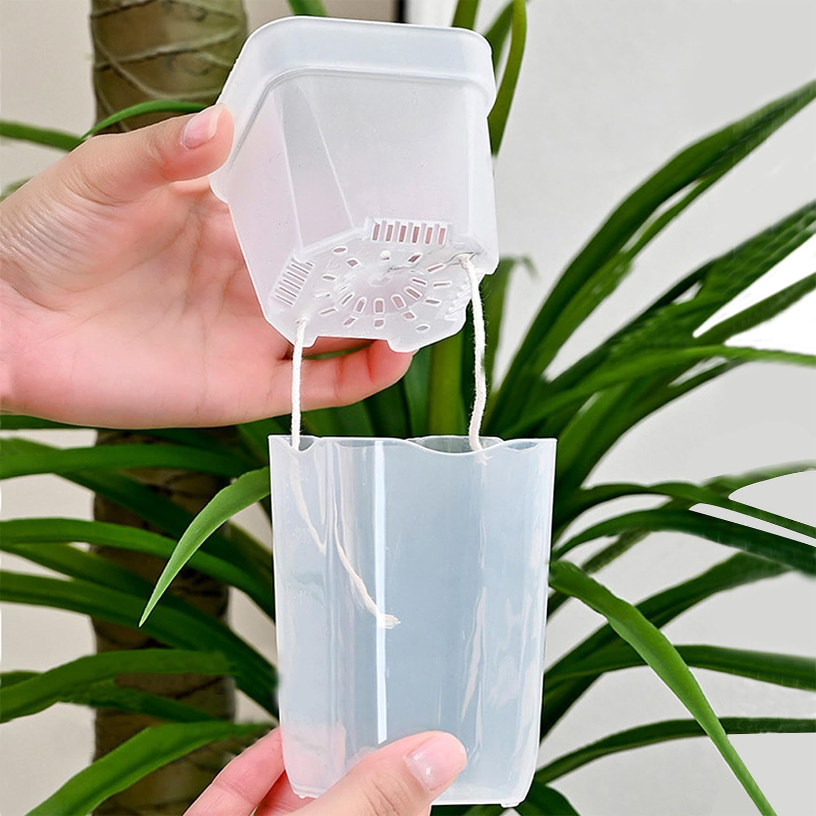 กระถางปลูกต้นไม้แบบรดน้ำเอง 16 - Self-Watering Planter บทวิจารณ์และราคา